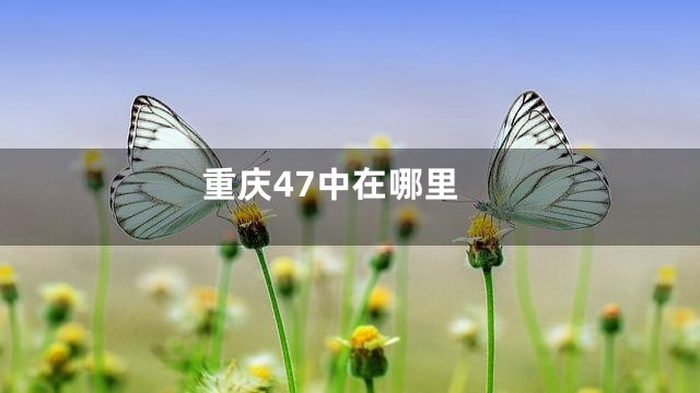 重庆47中在哪里