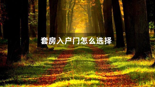 套房入户门怎么选择