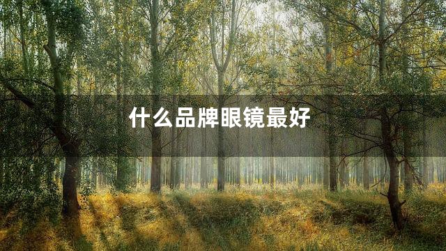 什么品牌眼镜最好