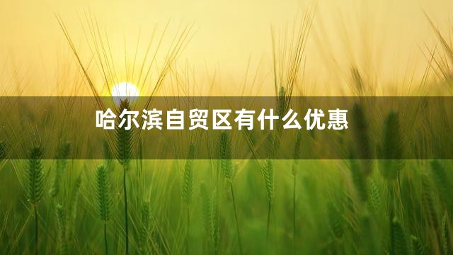 哈尔滨自贸区有什么优惠