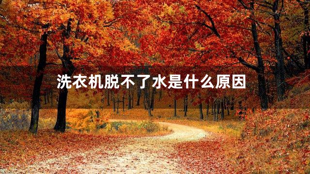 洗衣机脱不了水是什么原因