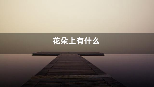 花朵上有什么