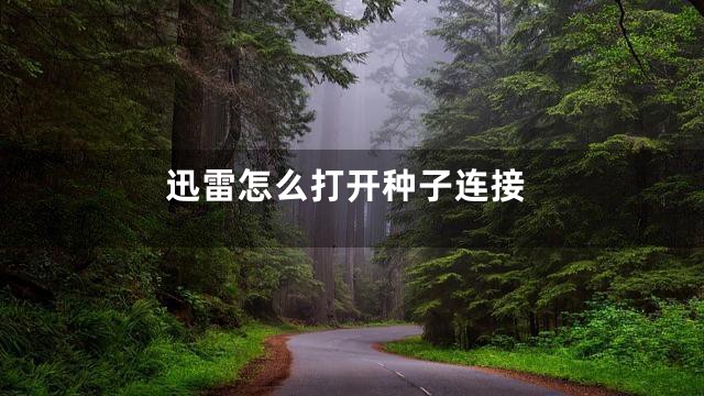 迅雷怎么打开种子连接