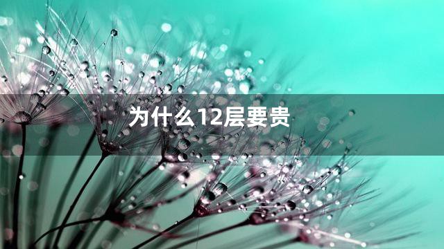 为什么12层要贵