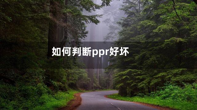 如何判断ppr好坏