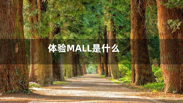 体验MALL是什么