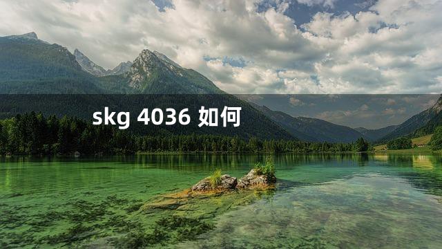 skg 4036 如何