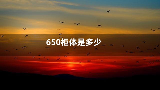 650柜体是多少