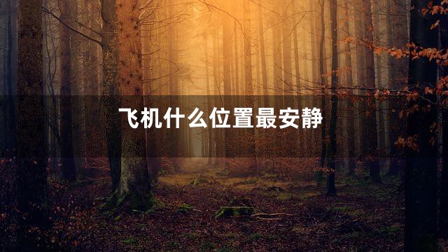 飞机什么位置最安静