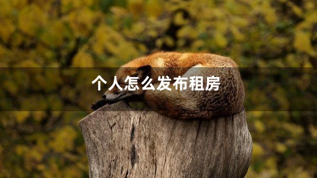 个人怎么发布租房