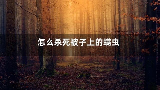 怎么杀死被子上的螨虫