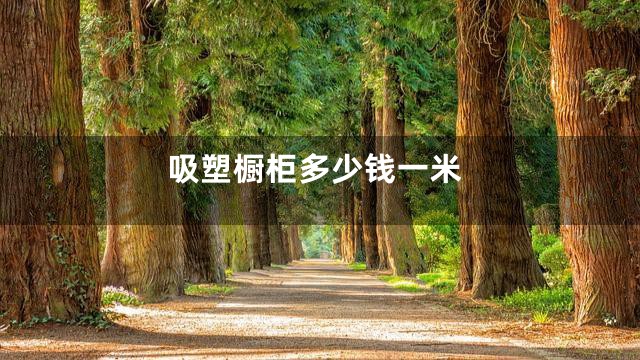 吸塑橱柜多少钱一米