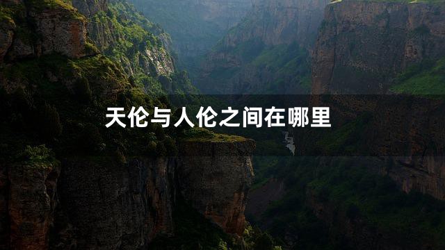 天伦与人伦之间在哪里