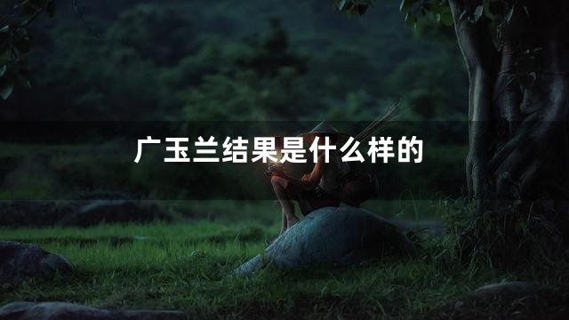 广玉兰结果是什么样的