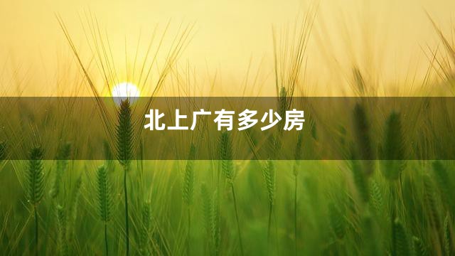 北上广有多少房