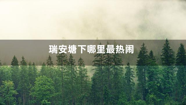 瑞安塘下哪里最热闹