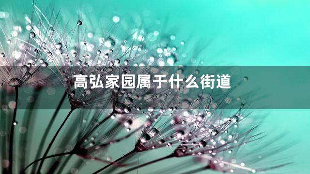 高弘家园属于什么街道