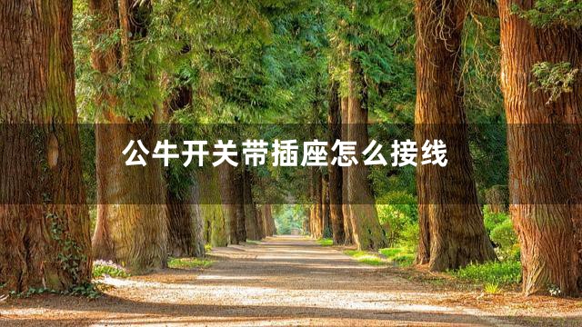 公牛开关带插座怎么接线