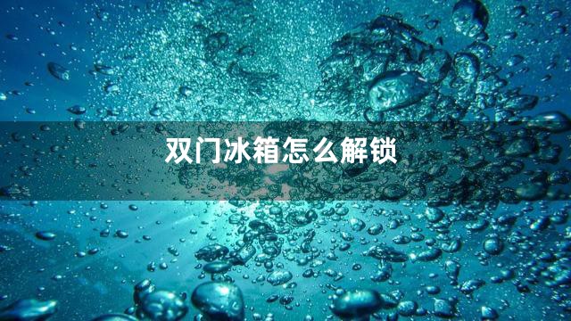 双门冰箱怎么解锁