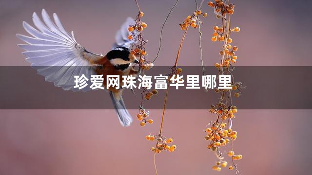 珍爱网珠海富华里哪里