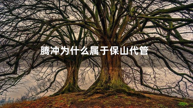 腾冲为什么属于保山代管