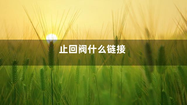 止回阀什么链接