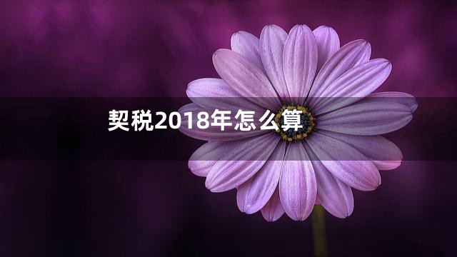 契税2018年怎么算