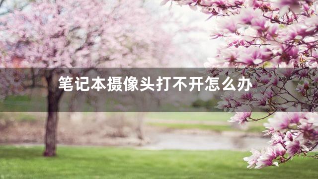 笔记本摄像头打不开怎么办