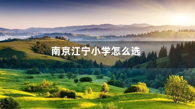南京江宁小学怎么选