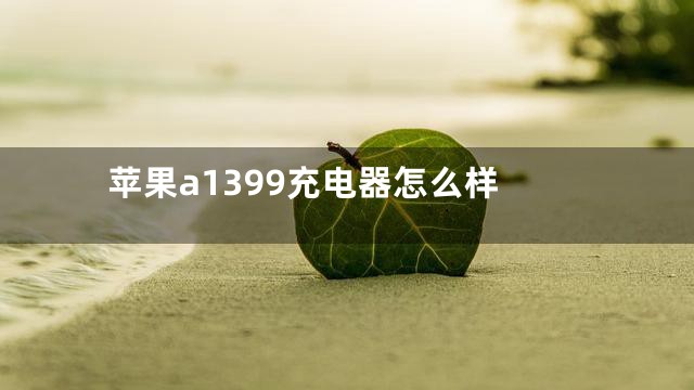 苹果a1399充电器怎么样