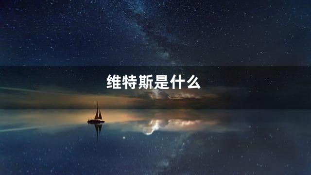 维特斯是什么