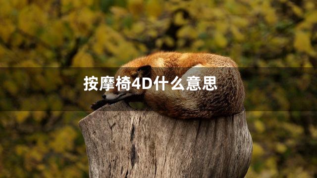 按摩椅4D什么意思