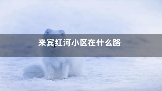 来宾红河小区在什么路