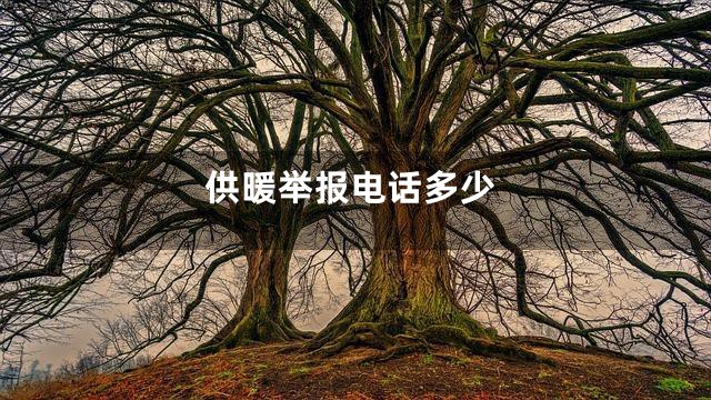 供暖举报电话多少