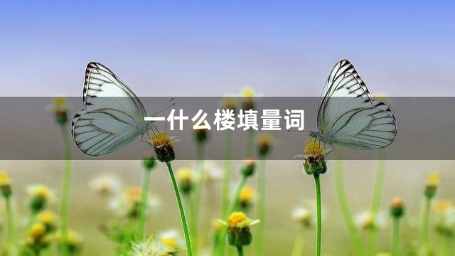 一什么楼填量词