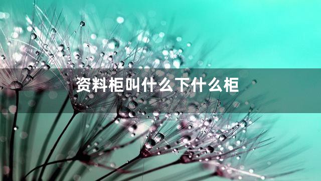 资料柜叫什么下什么柜