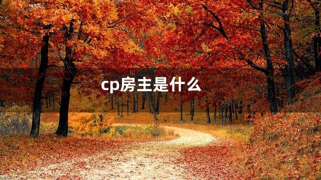 cp房主是什么