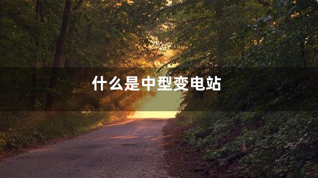 什么是中型变电站