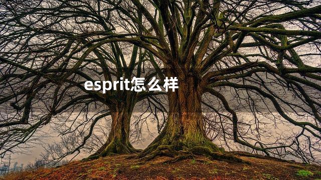 esprit怎么样