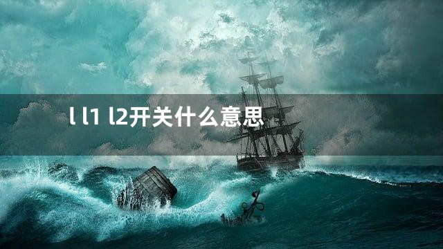 l l1 l2开关什么意思