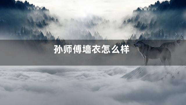 孙师傅墙衣怎么样