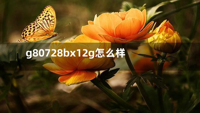 g80728bx12g怎么样