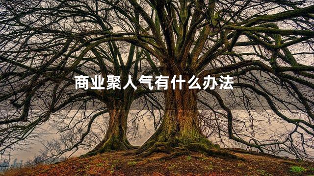 商业聚人气有什么办法