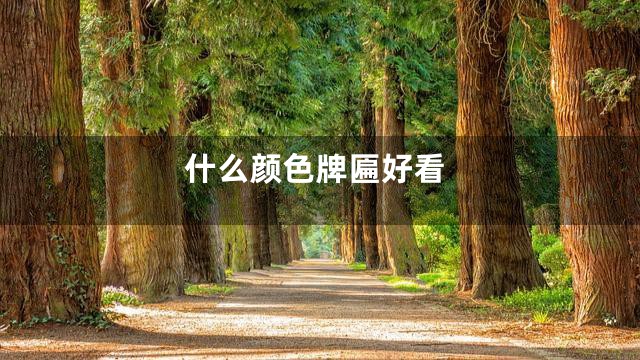 什么颜色牌匾好看