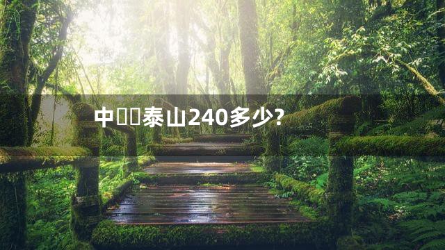 中泰山240多少?