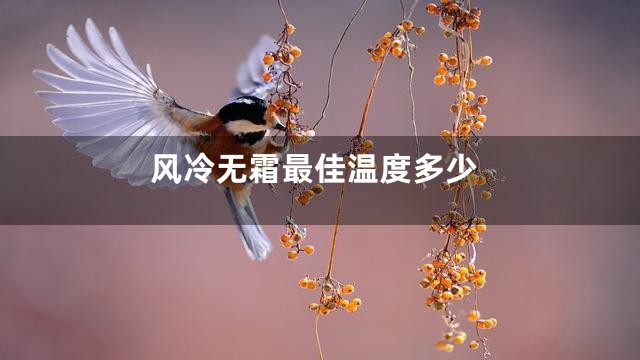 风冷无霜最佳温度多少