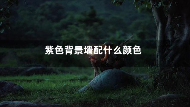 紫色背景墙配什么颜色