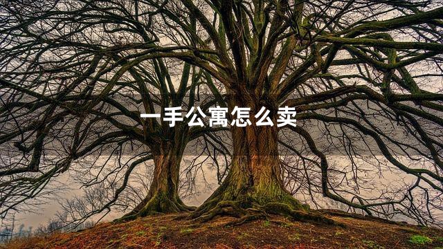 一手公寓怎么卖