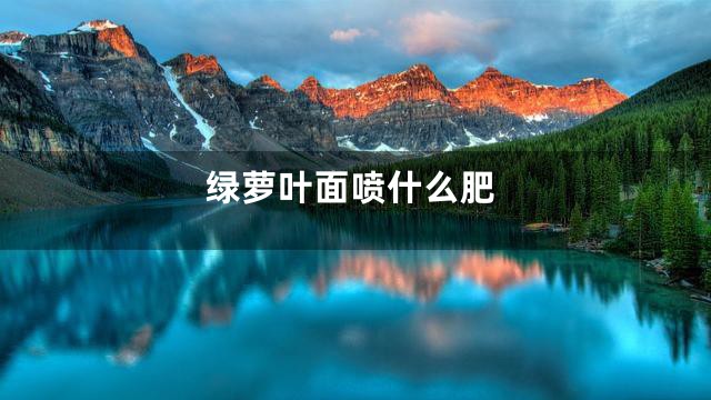 绿萝叶面喷什么肥