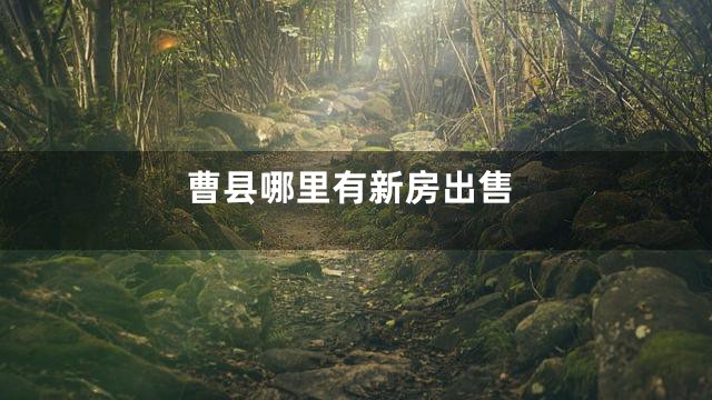 曹县哪里有新房出售